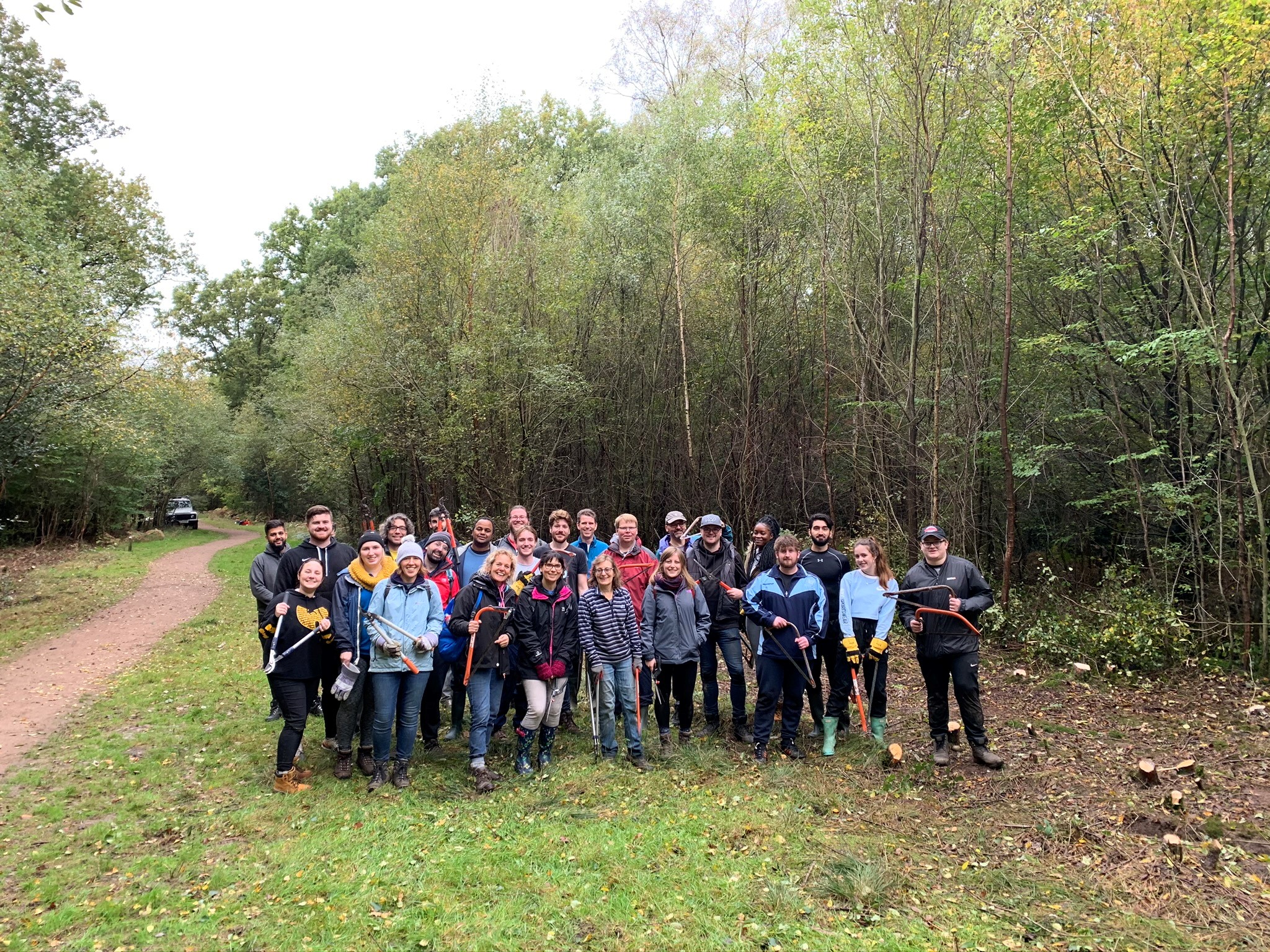 The reallymoving team helps maintain local woodland The reallymoving team helps maintain local woodland