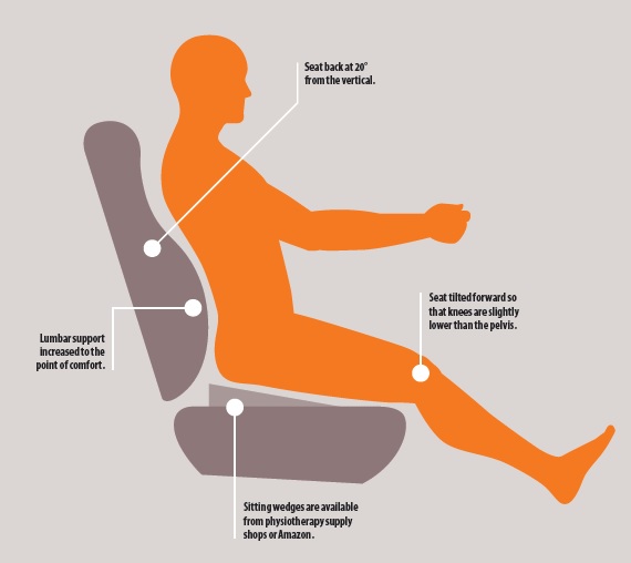 dysbiosis lower back pain